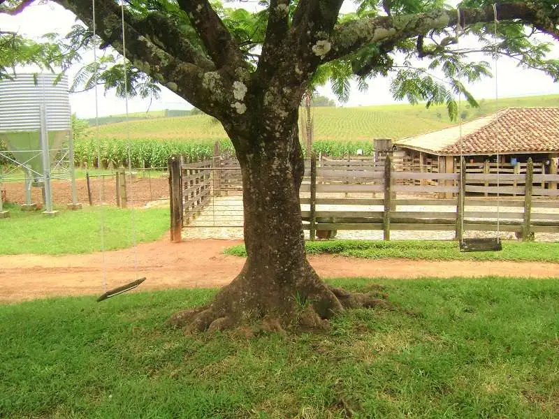 Fazenda Capão Grande, Serra da Canastra